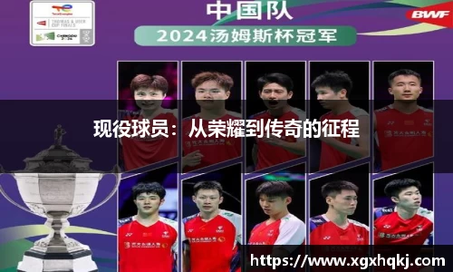 现役球员：从荣耀到传奇的征程